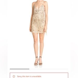 Haute Hippie Taken Embellished Mini Dress | Size 4 | NWT | Buff